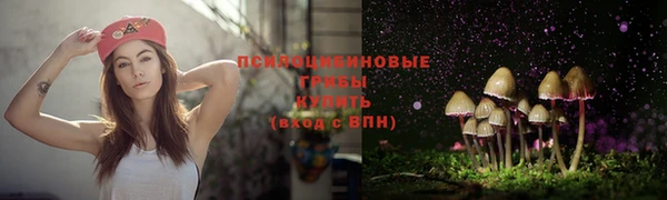мет Михайлов