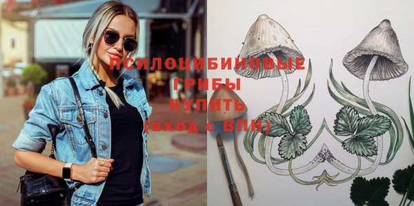 метадон Козловка