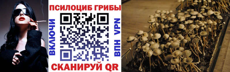 Псилоцибиновые грибы MAGIC MUSHROOMS  mega как войти  Томилино 
