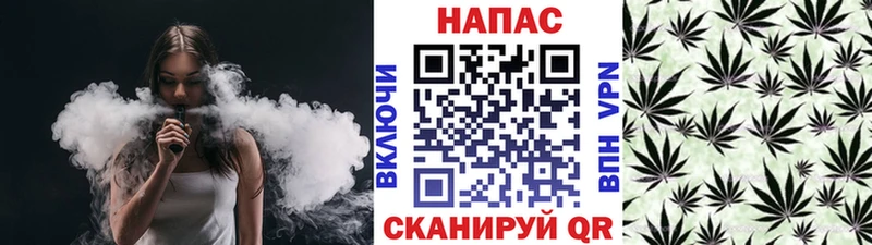 Бошки Шишки план  kraken сайт  Томилино 
